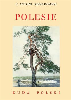 Polesie - Antoni Ferdynand Ossendowski