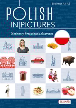 Polish in pictures. Polski w obrazkach. Słówka, rozmówki, gramatyka wyd. 2