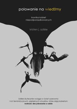 Polowanie na wiedźmy. Kronika kobiet niepodporządkowanych - ebook - Kristen J. Sollee
