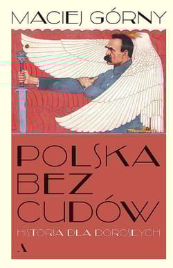 Polska bez cudów Historia dla dorosłych - Maciej  Górny