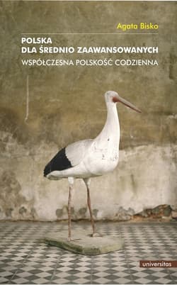 Polska dla średnio zaawansowanych Współczesna polskość codzienna - Agata Bisko