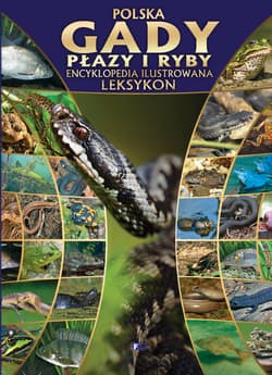 Polska gady płazy i ryby Encyklopedia ilustrowana