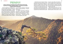 Galeria - zdjęcie nr. 2 - Polska góry