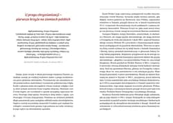 Galeria - zdjęcie nr. 4 - Polska i Krzyż