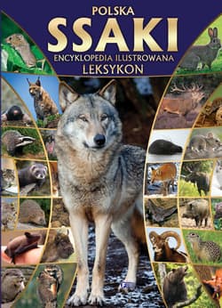 Polska ssaki encyklopedia ilustrowana leksykon - Opracowanie Zbiorowe
