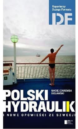Polski hydraulik i inne opowieści ze Szwecji - Maciej Zaremba Bielawski