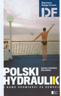 Polski hydraulik i inne opowieści ze Szwecji - Maciej Zaremba Bielawski