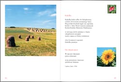 Galeria - zdjęcie nr. 3 - Polski rok
