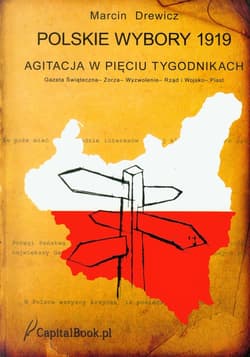 Polskie wybory 1919 Agitacja w pięciu tygodnikach