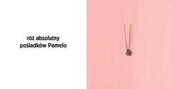 Galeria - zdjęcie nr. 2 - Pomelo i kolory