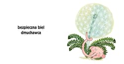 Galeria - zdjęcie nr. 3 - Pomelo i kolory