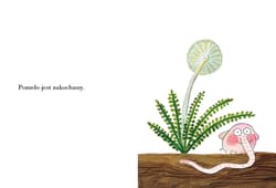 Galeria - zdjęcie nr. 2 - Pomelo jest zakochany