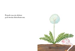 Galeria - zdjęcie nr. 3 - Pomelo ma się dobrze pod swoim dmuchawcem