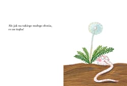 Galeria - zdjęcie nr. 4 - Pomelo ma się dobrze pod swoim dmuchawcem