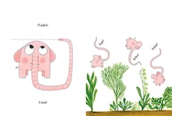 Galeria - zdjęcie nr. 2 - Pomelo rośnie