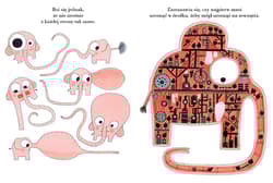 Galeria - zdjęcie nr. 4 - Pomelo rośnie