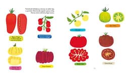 Galeria - zdjęcie nr. 4 - Pomidory Akademia mądrego dziecka Wiem, co jem!