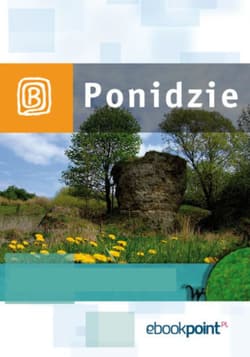Ponidzie. Miniprzewodnik - ebook