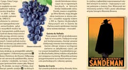 Galeria - zdjęcie nr. 3 - Porto map&guide PL laminat 2020