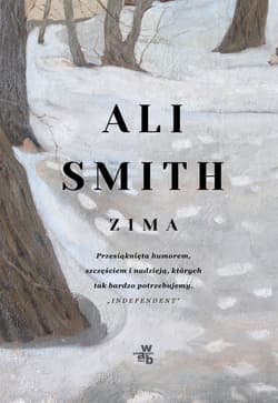 Pory roku. Zima. Tom 2. Pory roku - Ali Smith