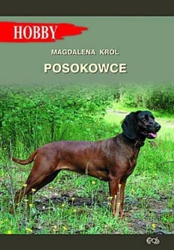Posokowce - Król Magdalena
