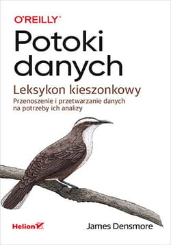 Potoki danych. Leksykon kieszonkowy. Przenoszenie i przetwarzanie danych na potrzeby ich analizy - James Densmore