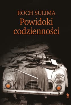Powidoki codzienności - ebook - Roch Sulima