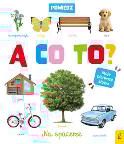 Powiedz a co to ? Na spacerze - Opracowanie Zbiorowe