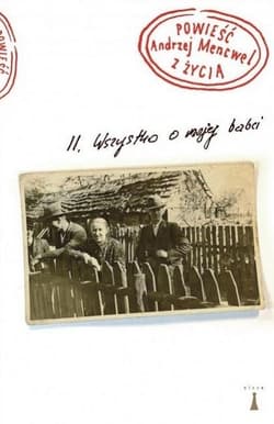 Powieść z życia Wszystko o mojej babci - Andrzej Mencwel