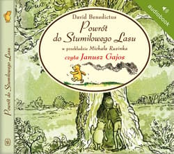 Powrót do Stumilowego Lasu - audiobook - David Benedictus