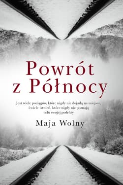 Powrót z Północy - ebook - Maja Wolny