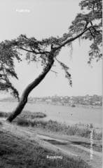 Powroty. Revisiting - Paweł Pierściński