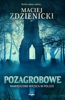 Pozagrobowe. Nawiedzone miejsca w Polsce - ebook - Maciej Zdzienicki