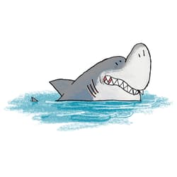 Galeria - zdjęcie nr. 2 - Pozdrowienia od nieśmiałego rekina