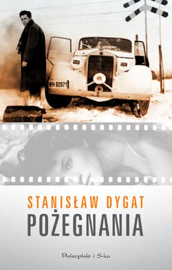 Pożegnania - ebook - Stanisław Dygat