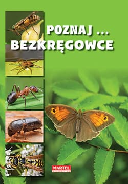 Poznaj bezkręgowce - Praca zbiorowa