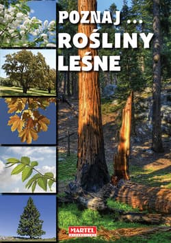 Poznaj Rośliny leśne - Opracowanie Zbiorowe