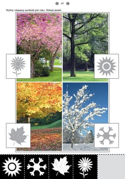 Galeria - zdjęcie nr. 2 - Poznaję i rozumiem świat Część 1 Karty pracy dla uczniów z niepełnosprawnością intelektualną, dla przedszkoli i zespołów rewalidacyjno-wychowawczych POZNAJĘ I ROZUMIEM ŚWIAT