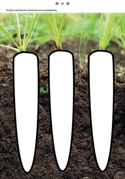 Galeria - zdjęcie nr. 3 - Poznaję i rozumiem świat Część 1 Karty pracy dla uczniów z niepełnosprawnością intelektualną, dla przedszkoli i zespołów rewalidacyjno-wychowawczych POZNAJĘ I ROZUMIEM ŚWIAT