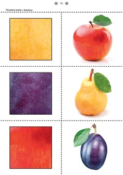 Galeria - zdjęcie nr. 4 - Poznaję i rozumiem świat Część 1 Karty pracy dla uczniów z niepełnosprawnością intelektualną, dla przedszkoli i zespołów rewalidacyjno-wychowawczych POZNAJĘ I ROZUMIEM ŚWIAT