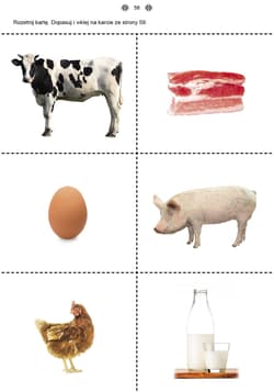 Galeria - zdjęcie nr. 3 - Poznaję i rozumiem świat część 3 Karty pracy dla uczniów z niepełnosprawnością intelektualną dla przedszkoli i zespołów rewalidacyjno-wychowawczych