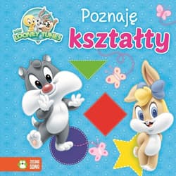 Poznaję kształty