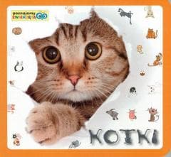 Poznajemy zwierzęta - Kotki - Praca zbiorowa