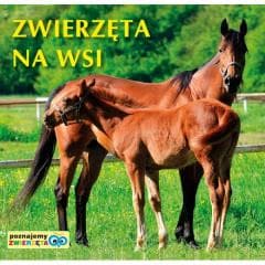 Poznajemy zwierzęta - Zwierzęta na wsi - Praca zbiorowa