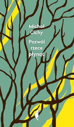 Pozwól rzece płynąć - ebook - Michał Cichy