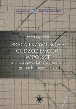 Praca przymusowa cudzoziemców w Polsce analiza zjawiska w wybranych grupach imigranckich - Paweł Dąbrowski