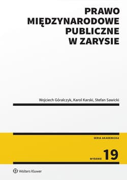 Prawo międzynarodowe publiczne w zarysie - Karol  Karski, Wojciech Góralczyk