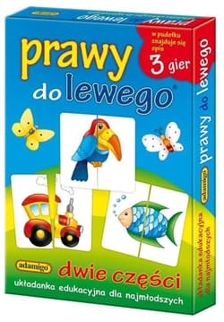 Prawy do lewego Układanka edukacyjna - Antonina Kwasek, Julia Pogorzelska