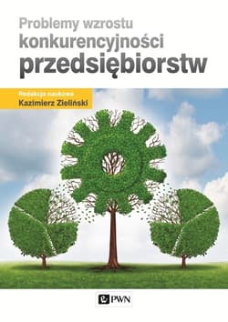 Problemy wzrostu konkurencyjności przedsiębiorstw - Zieliński Kazimierz