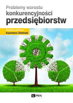 Problemy wzrostu konkurencyjności przedsiębiorstw - Zieliński Kazimierz